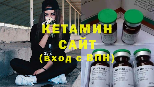 СК Алексин