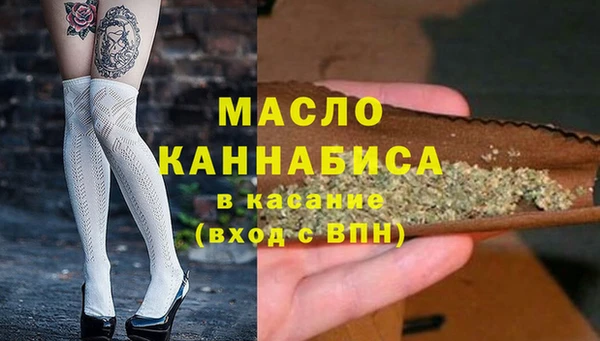 СК Алексин