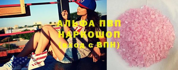 СК Алексин