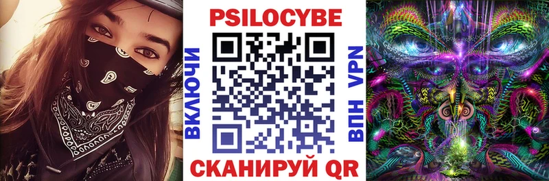 Псилоцибиновые грибы Psilocybine cubensis  где купить наркотик  Заозёрный 